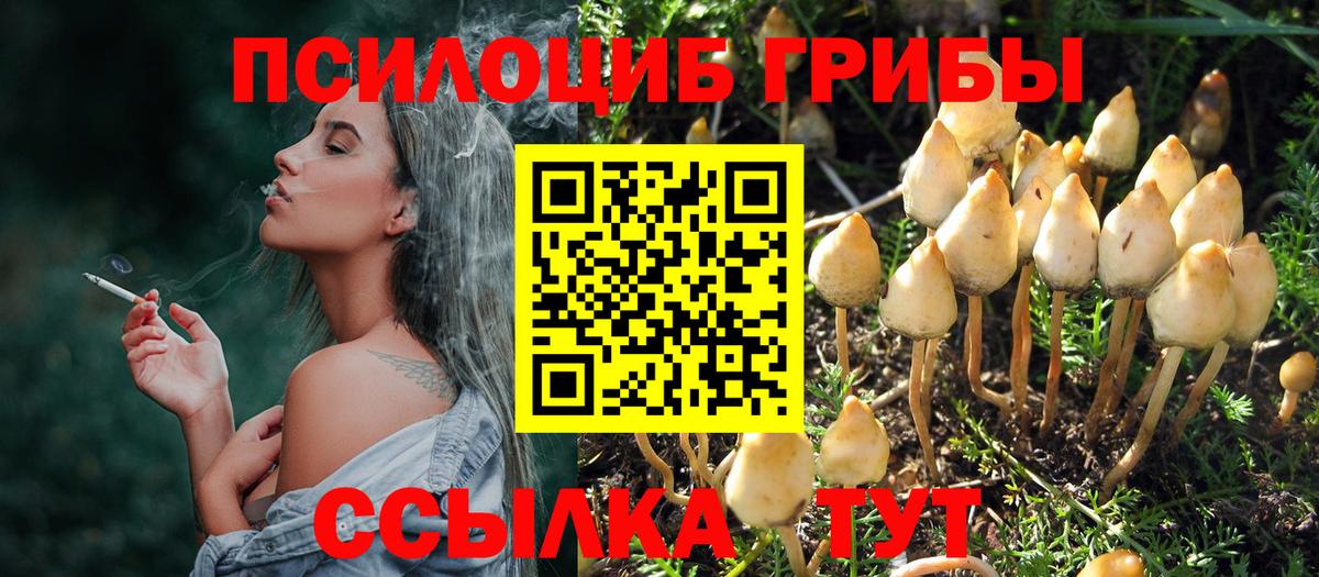 Псилоцибиновые грибы Magic Shrooms Брянск